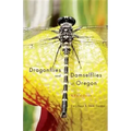 Dragonflies and Damselflies of Oregon: A Field Guide