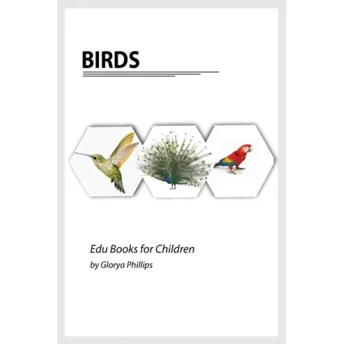Birds: Montessori real birds book, bits of intelligence for baby and toddler, children's book, learning resources.