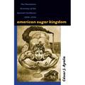 American Sugar Kingdom: The Plantation Economy of the Spanish Caribbean, 1898-1934
