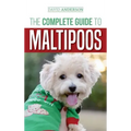 The Complete Guide to Maltipoos: Everything you need to know before getting your Maltipoo dog