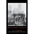 What I Saw in America