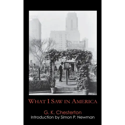 What I Saw in America