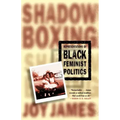 Shadowboxing: Representations of Black Feminist Politics