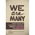 We Are Many: Reflections on Movement Strategy from Occupation to Liberation
