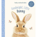 Goodnight, Little Bunny: A Board Book