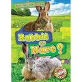 Rabbit or Hare?