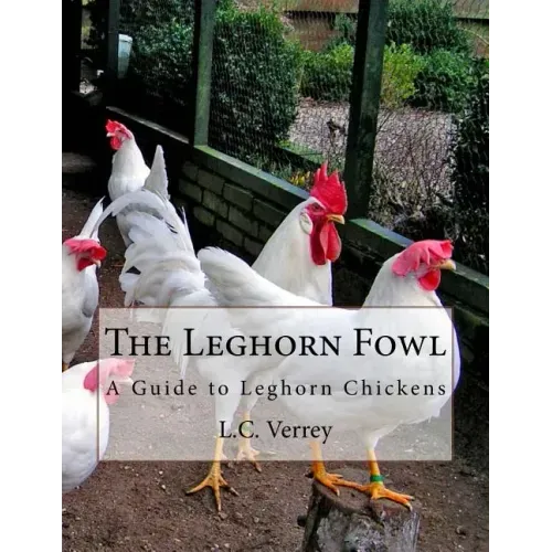 The Leghorn Fowl: A Guide to Leghorn Chickens