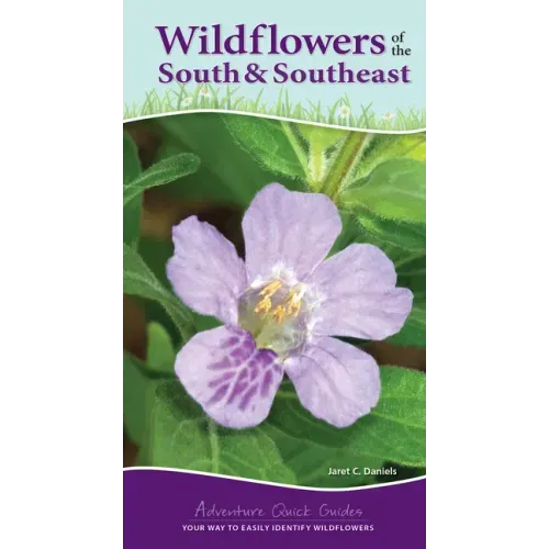 Wildflowers of the South & Southeast: Your Way to Easily Identify Wildflowers
