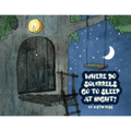 Where Do Squirrels Go to Sleep at Night?