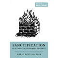 Sanctification as Set Apart and Growing in Christ