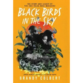 Black Birds in the Sky: The Story and Legacy of the 1921 Tulsa Race Massacre