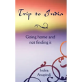 Trip to India: Going home and not finding it