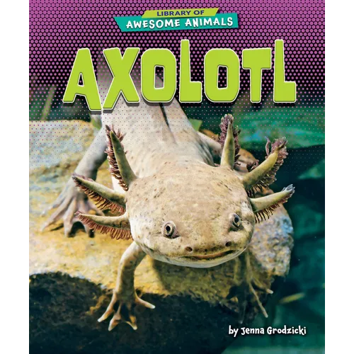 Axolotl