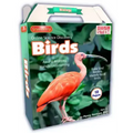 Online Discovery Birds