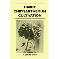 Hardy Chrysanthemum Cultivation