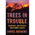 Trees in Trouble: Wildfires, Infestations, and Climate Change