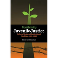 Transforming Juvenile Justice: Reform Ideals and Institutional Realities, 1825-1920