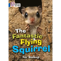 The Fantastic Flying Squirrel: Band 04/Blue