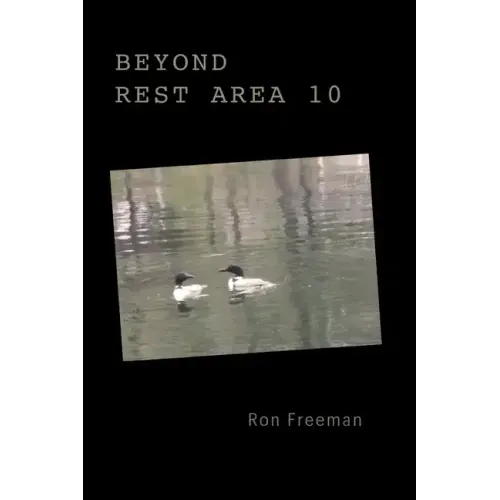 Beyond Rest Area 10