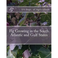 Fig Growing in the South Atlantic and Gulf States