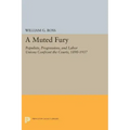 A Muted Fury: Populists, Progressives, and Labor Unions Confront the Courts, 1890-1937