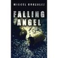 Falling Angel