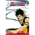 Bleach, Vol. 38
