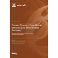 Current Status of Low-Grade Minerals and Mine Wastes Recovery: Reaction Mechanism, Mass Transfer, and Process Control