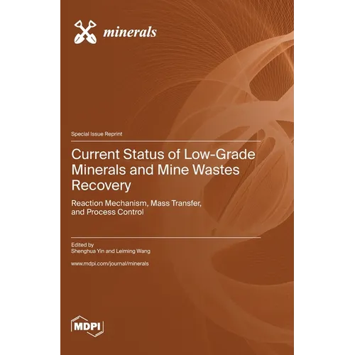 Current Status of Low-Grade Minerals and Mine Wastes Recovery: Reaction Mechanism, Mass Transfer, and Process Control