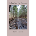 A Leaf on the Stream