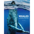 Whales & Dolphins