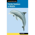 Florida Seashore & Wildlife