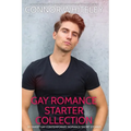 Gay Romance Starter Collection: 20 Sweet Gay Contemporary Romance Short Stories
