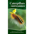Caterpillars of North America: Easily Identify 90 Common Butterflies and Moths