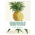 The Big Book of 100 Botanical Designs to Color
