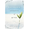 Between Shades of Gray