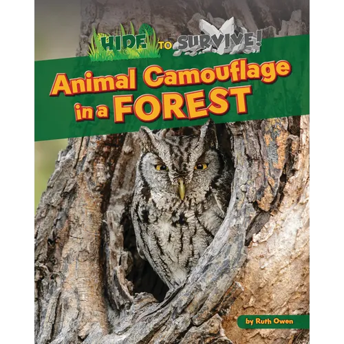Animal Camouflage in a Forest