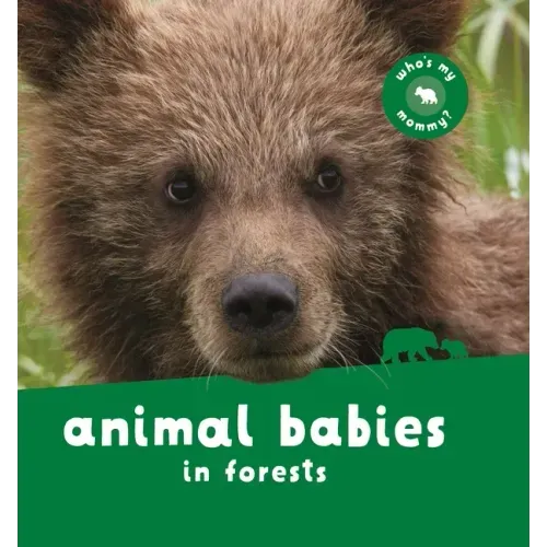 Animal Babies in Forests