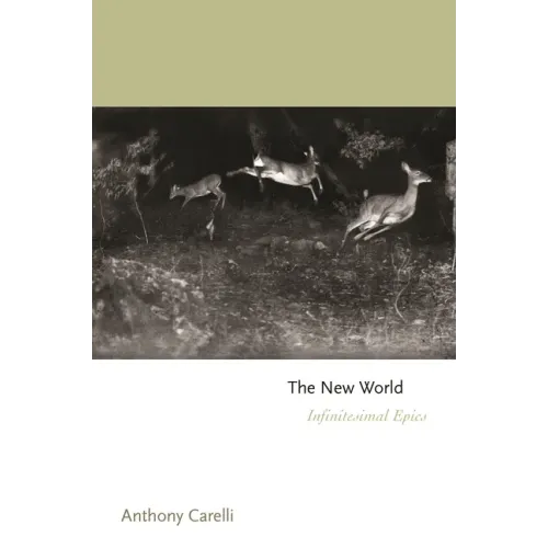 The New World: Infinitesimal Epics