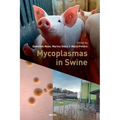 Mycoplasmas in Swine