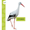Storks
