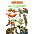 Amphibians