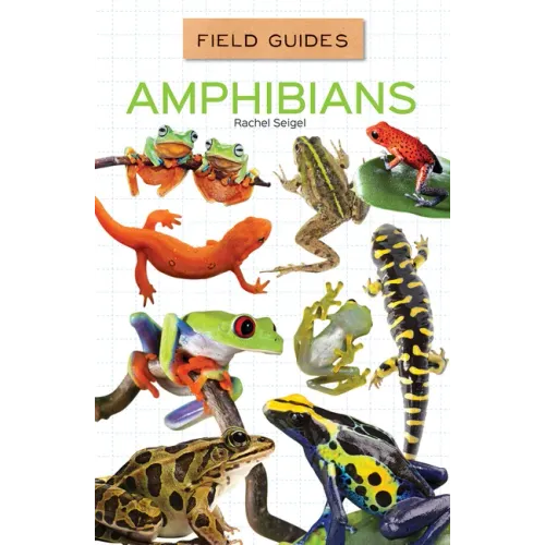 Amphibians