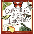 Caterpillars, Bugs and Butterflies