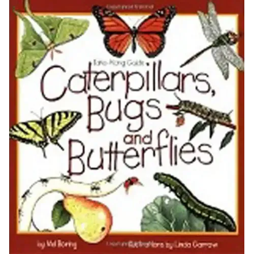 Caterpillars, Bugs and Butterflies
