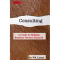 Consulting: A Guide to Helping Business Owners Succeed