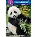 Baby Panda Goes Wild!