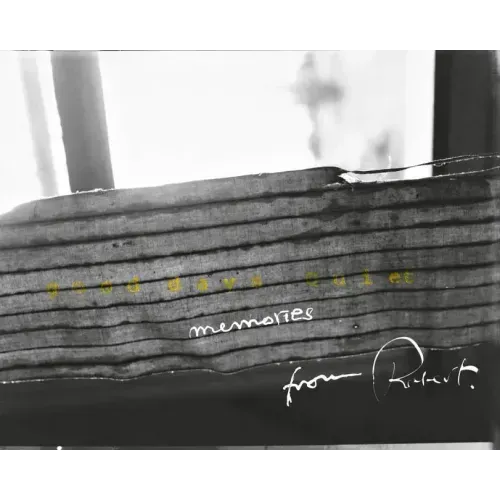 Robert Frank: Good Days Quiet