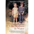 Like Sodium in Water: A memoir of home and heartache