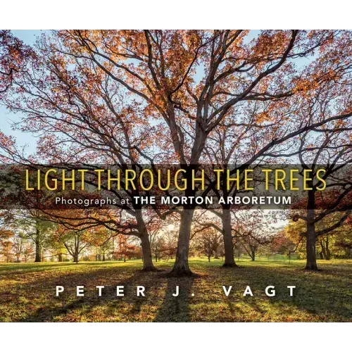 Light Through the Trees: Photographs at the Morton Arboretum